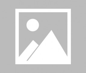 AG真人-国内赛事抢眼亮相，各队备战严谨的简单介绍