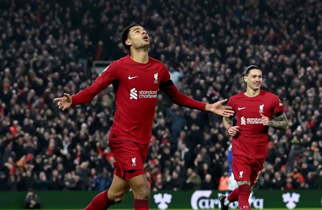 包含利物浦击败埃弗顿,提升领先优势的词条 包含利物浦击败埃弗顿,提升领先优势的词条